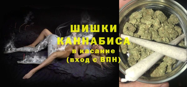 прущие грибы Няндома