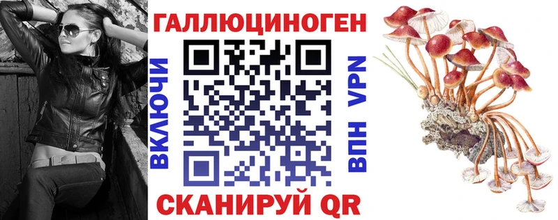 Псилоцибиновые грибы MAGIC MUSHROOMS  KRAKEN   Рассказово 